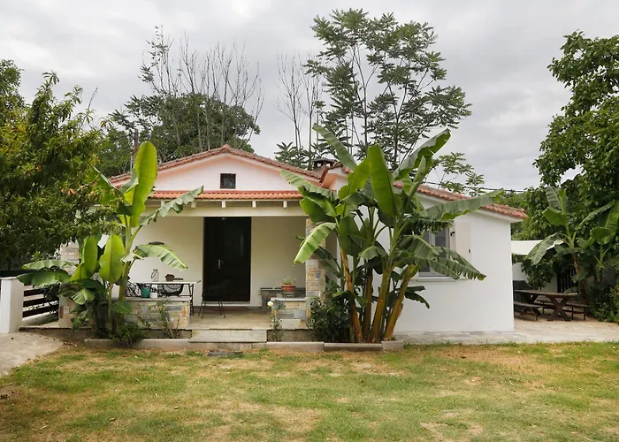 Elaion Gaia Holiday home Chorto